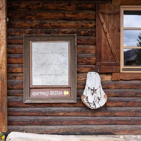 Brina Bohinj