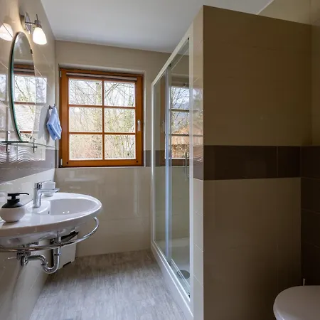 Apartment Brina Bohinj