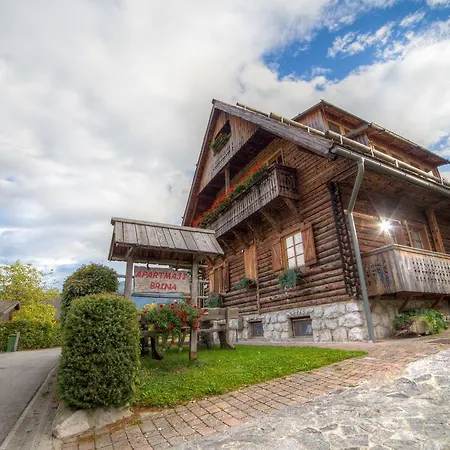 Apartment Brina