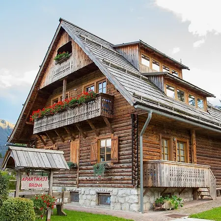 Brina Bohinj